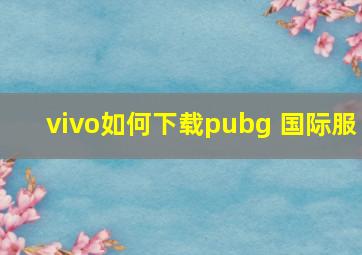 vivo如何下载pubg 国际服